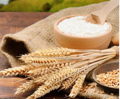 面粉制品改良劑主要有哪些？